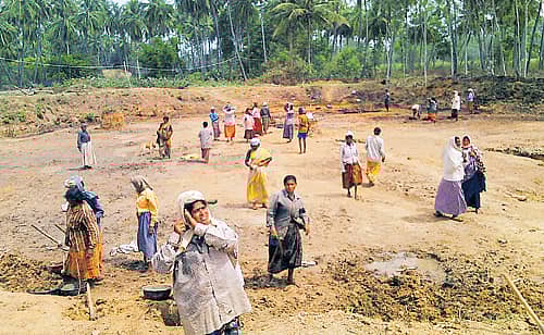 ಮಳವಳ್ಳಿ ತಾಲ್ಲೂಕಿನ ನೆಲಮಾಕನಹಳ್ಳಿಯ ಕೆಂಪಣ್ಣನ ಕಟ್ಟೆಯಲ್ಲಿ ಮಹಿಳಾ ಕೂಲಿ ಕಾರ್ಮಿಕರೇ ಹೂಳು ತೆಗೆದರು