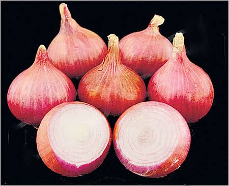 ರೈತಮಿತ್ರ ‘ಭೀಮಾ ಸೂಪರ್’!