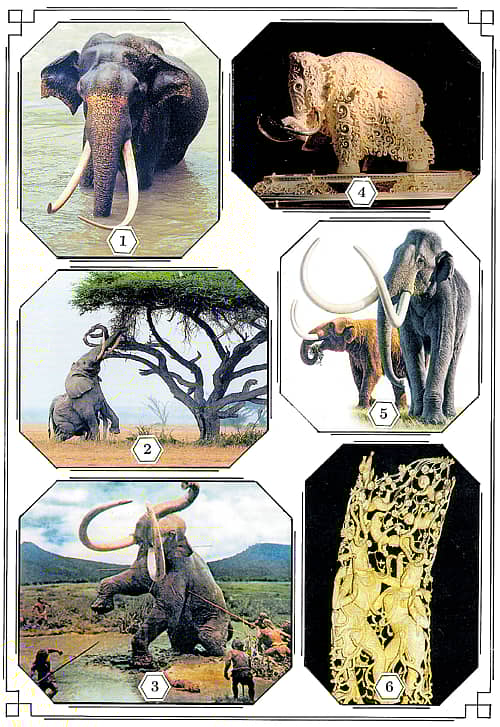 ಪ್ರಕೃತಿ ವಿಸ್ಮಯದ ಮೂರು ಪ್ರಶ್ನೆಗಳು