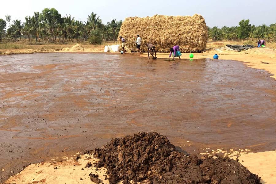 ರಾಗಿ ಒಕ್ಕಣೆಗೂ ಮುನ್ನ ಸಗಣಿಯಿಂದ ಕಣ ಬಳಿಯುತ್ತಿರುವುದು