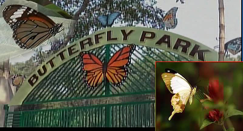 ಚಿತ್ರ: ಎಎನ್ಐ ಟ್ವೀಟ್