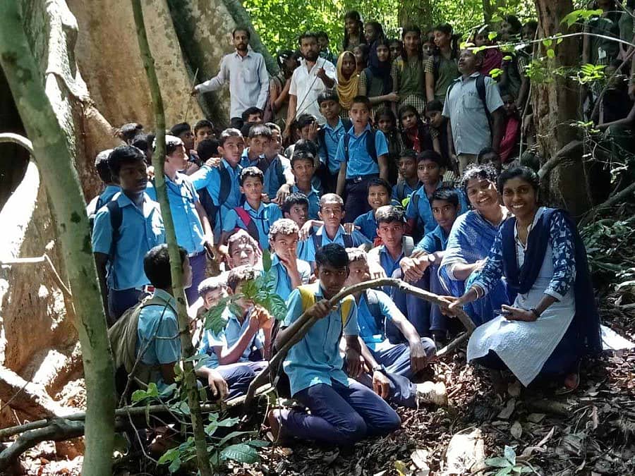 ವಾಮನರು ಕಂಡ ತ್ರಿವಿಕ್ರಮ ಮರ!