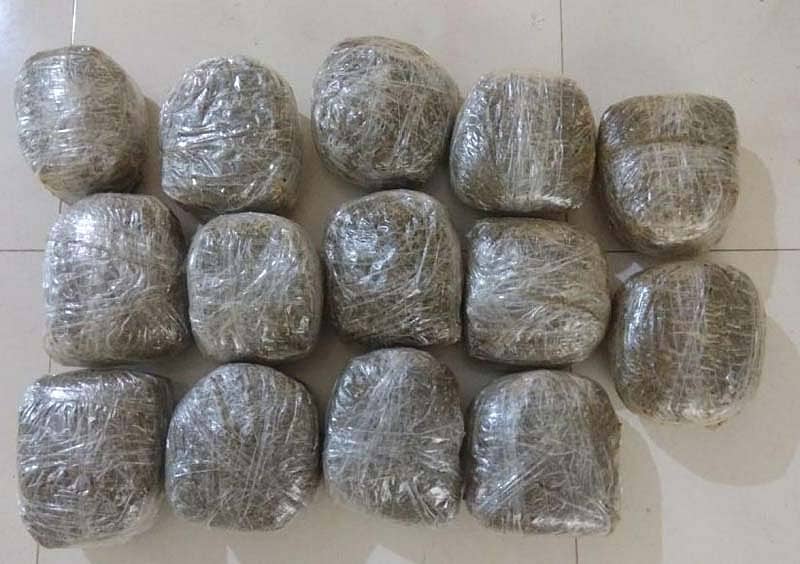 <div class="paragraphs"><p>ಗಾಂಜಾ -ಸಂಗ್ರಹ ಚಿತ್ರ </p></div>