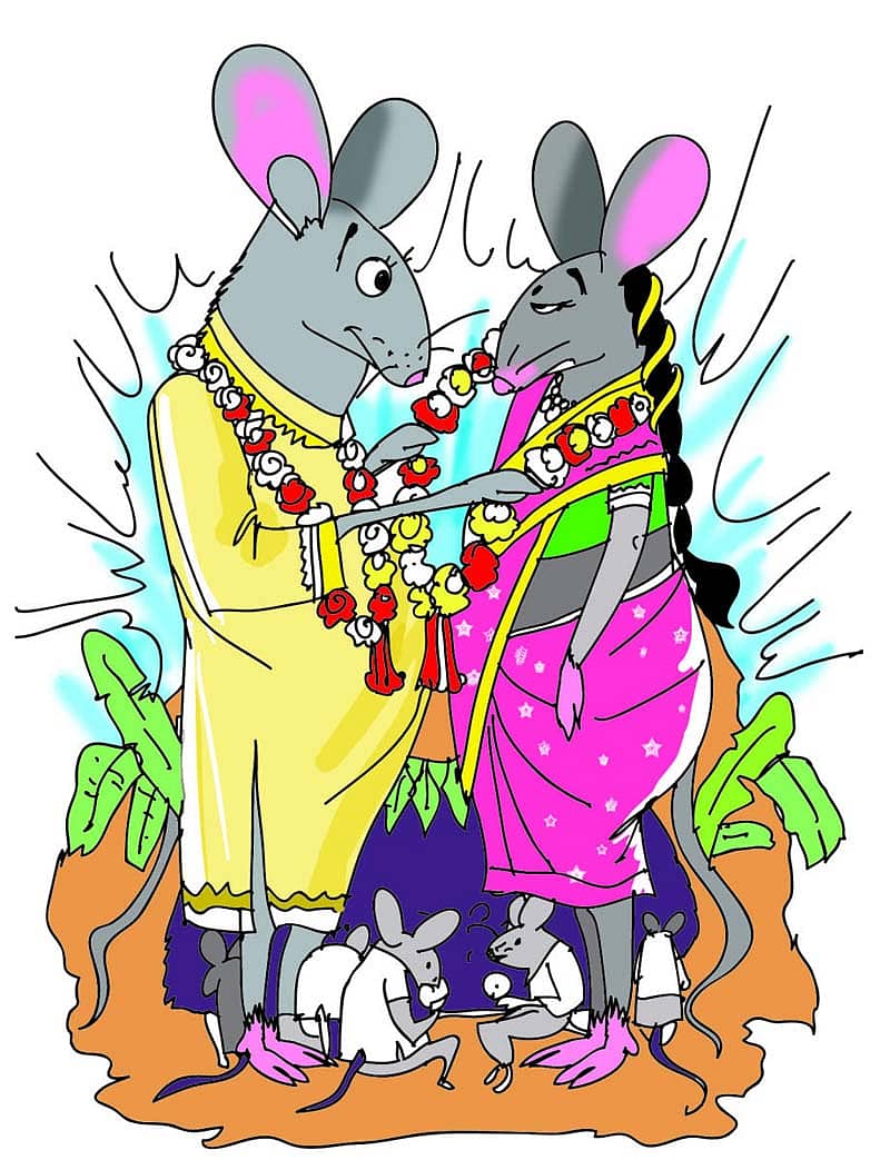 ಇಲಿಗಳ ಮದುವೆ