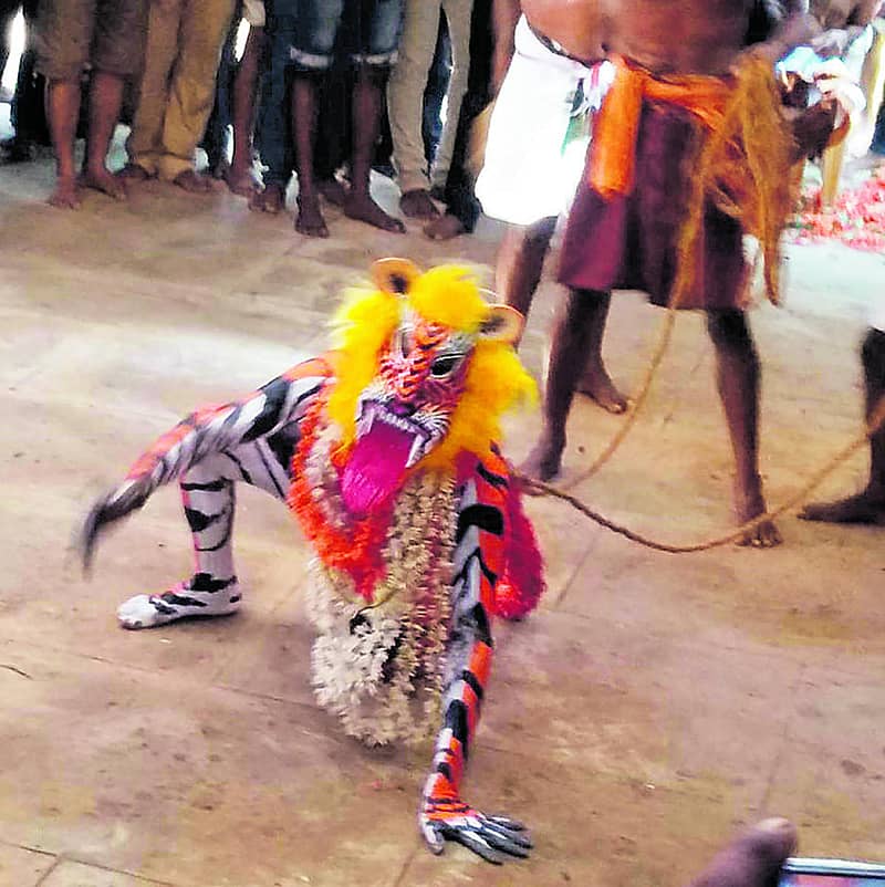 ಪಿಲಿಕೋಲದಲ್ಲಿ ಹುಲಿ ವೇಷ.