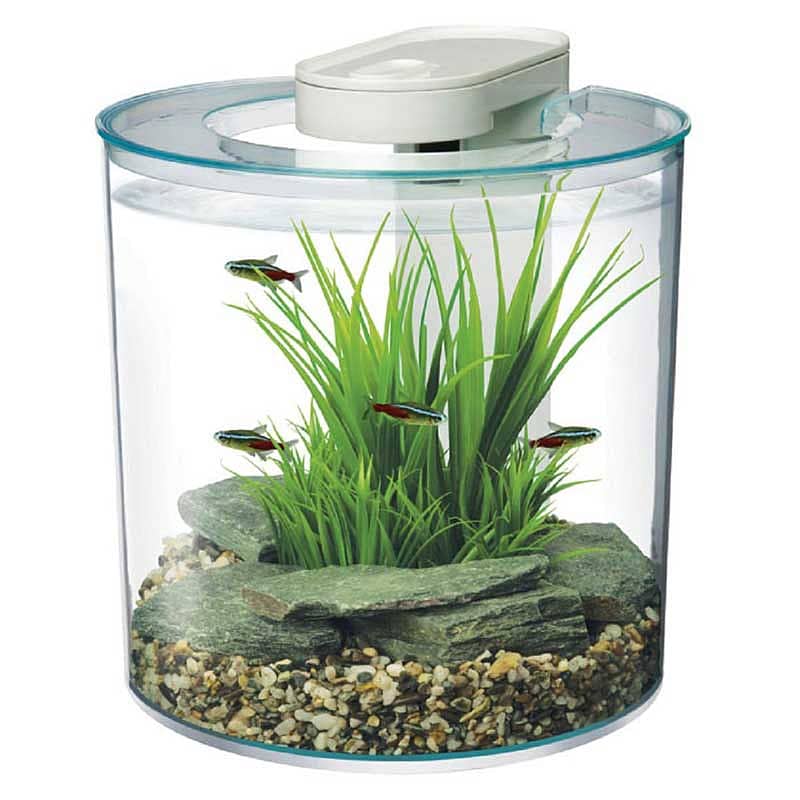 ಒಳಾಂಗಣದ ಅಂದ ಹೆಚ್ಚಿಸುವ ಅಕ್ವೇರಿಯಂ