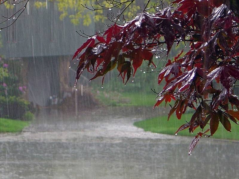 29ಕ್ಕೆ ಕೇರಳಕ್ಕೆ ಮುಂಗಾರು