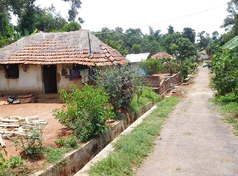 ಮೇಕನಗದ್ದೆ ಗ್ರಾಮದ ನೋಟ