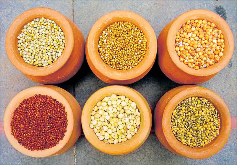 ಆರು ಬಗೆಯ ಸಿರಿಧಾನ್ಯಗಳು