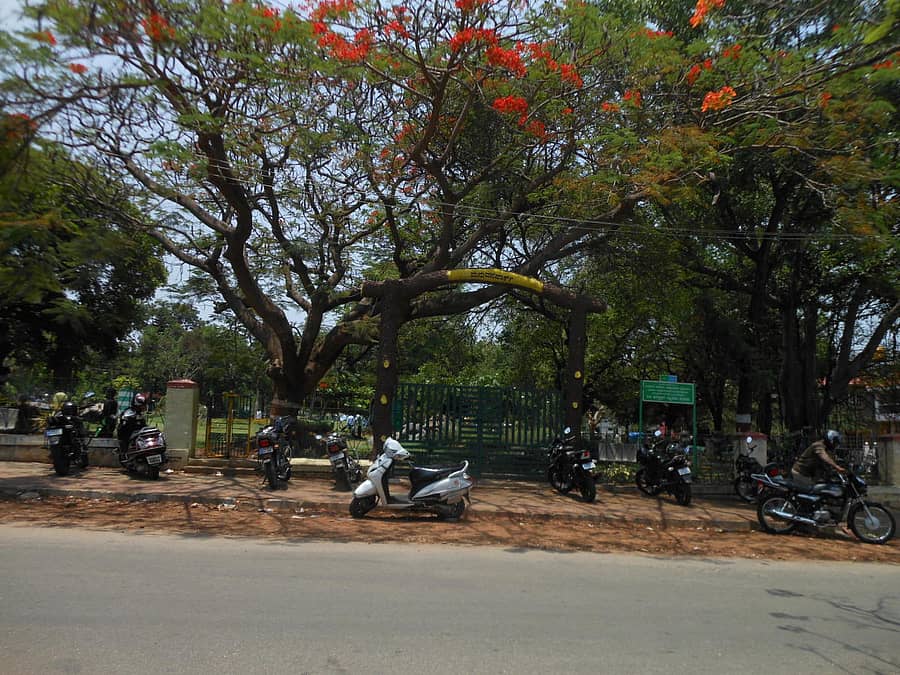 ವಾಣಿವಿಲಾಸ ರಸ್ತೆಯಲ್ಲಿರುವ ಮನುವನ ಪಾರ್ಕ್