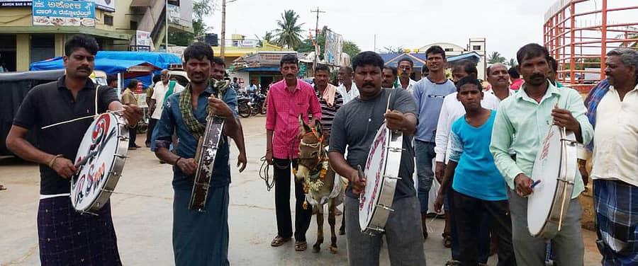 ಬ್ಯಾಡಗಿಯಲ್ಲಿ ವರುಣನ ಕೃಪೆಗಾಗಿ ಸೋಮವಾರ ಕತ್ತೆಗಳ ಮದುವೆ ನೆರವೇರಿಸಿ, ಮೆರವಣೆಗೆ ಮಾಡಲಾಯಿತು