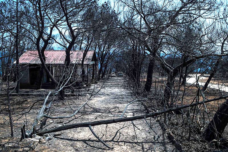 ಅಥೆನ್ಸ್ ಸಮೀಪದ ಮಾಟಿಯಲ್ಲಿ ಕಾಡ್ಗಿಚ್ಚಿನಿಂದ ಹಾನಿಗೊಳಗಾಗಿರುವ ಪ್ರದೇಶ.