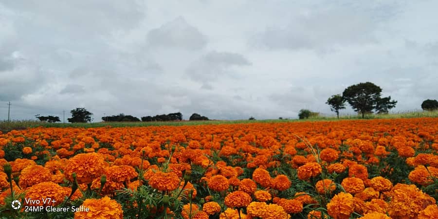 <div class="paragraphs"><p>ಸಾಂದರ್ಭಿಕ ಚಿತ್ರ</p></div>