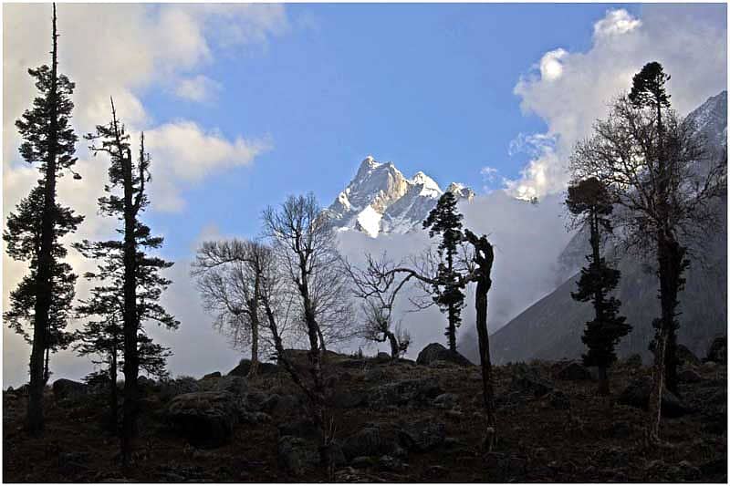 ನಮ್ಮ ಬಿಡಾರದಿಂದ ಕಂಡ ಹಿಮಪರ್ವತ