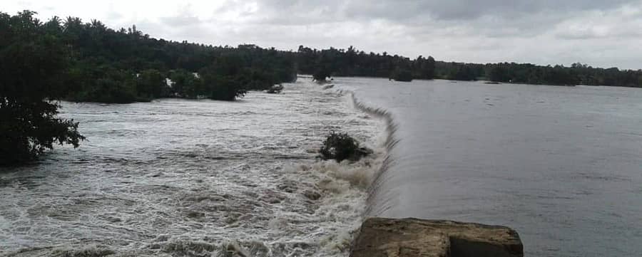 ಚಿತ್ರಗಳು: ಲೇಖಕರವು