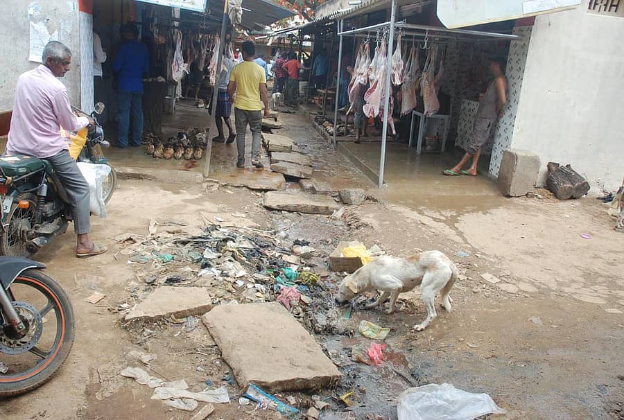 ಕೋಲಾರದ ಅಮ್ಮವಾರಿಪೇಟೆ ಮಾಂಸ ಮಾರುಕಟ್ಟೆಯಲ್ಲಿ ಚರಂಡಿ ನೀರು ರಸ್ತೆಗೆ ಹರಿಯುತ್ತಿರುವುದು.