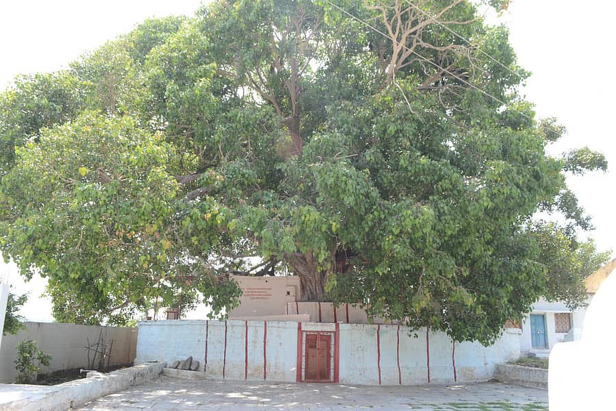 ಮಾನ್ವಿ ತಾಲ್ಲೂಕು ಚೀಕಲಪರ್ವಿ ಗ್ರಾಮದ ಐತಿಹಾಸಿಕ ವಿಜಯದಾಸರ ಕಟ್ಟೆ