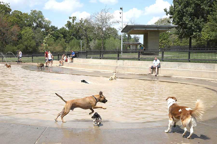 ನಾಯಿ ಉದ್ಯಾನ