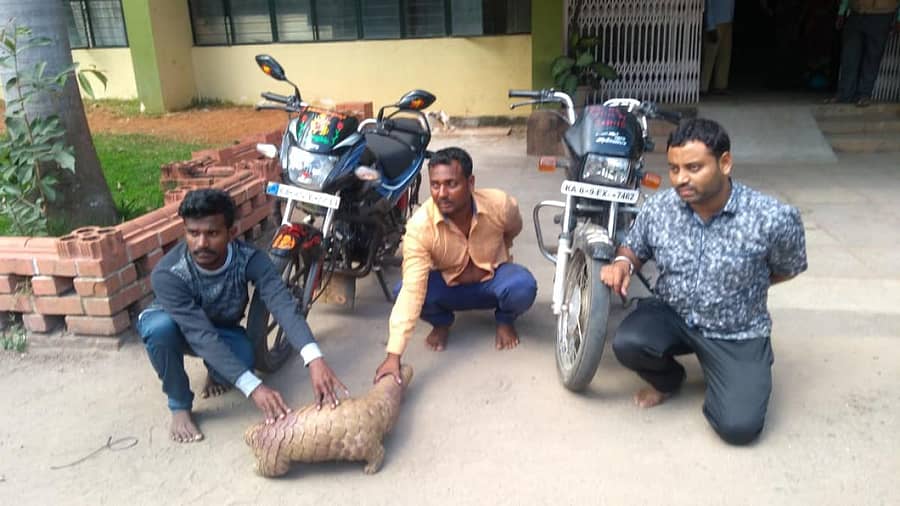 ಬಂಧಿತ ಆರೋಪಿಗಳು