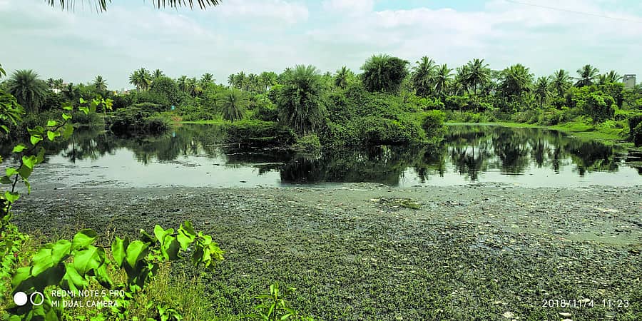 ಕೆರೆಯ ಒಡಲಲ್ಲಿ ತುಂಬಿರುವ ತ್ಯಾಜ್ಯ