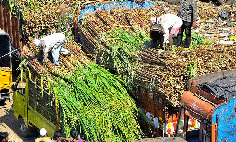 ಕಬ್ಬು ಬೆಳೆಗಾರರು –ಸಾಂದರ್ಭಿಕ ಚಿತ್ರ