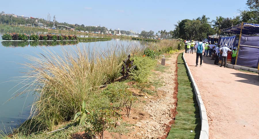 ಬಯೋಕಾನ್ ಪ್ರತಿಷ್ಠಾನದ ವತಿಯಿಂದ ಅಭಿವೃದ್ಧಿಗೊಂಡ ಹೆಬ್ಬಗೋಡಿ ಕೆರೆ