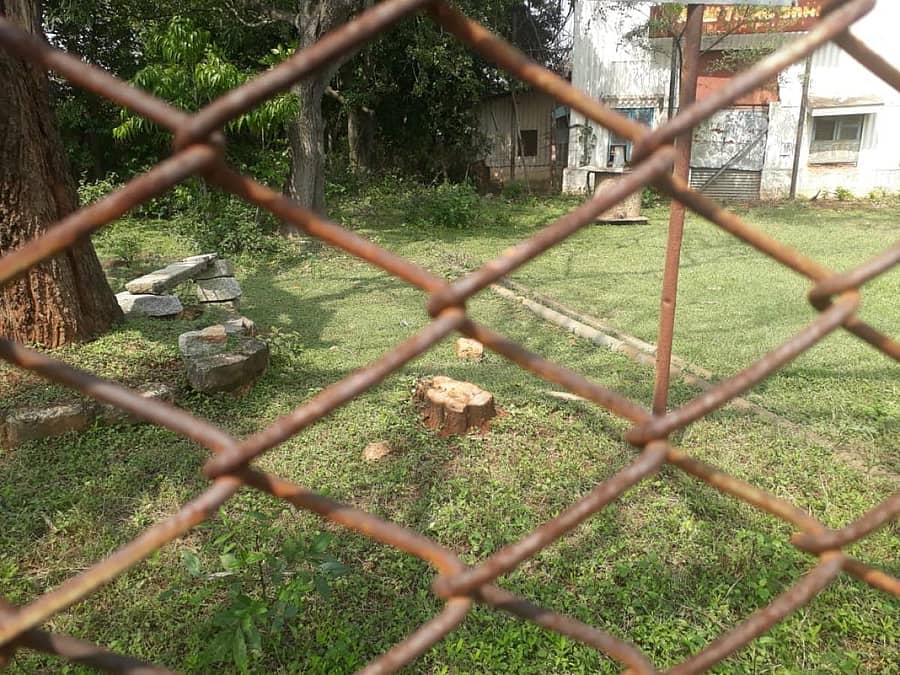 ಕೆಜಿಎಫ್‌ ಬಿಜಿಎಂಎಲ್‌ನ ನ್ಯೂಟೇಲರ್ ಶಾಫ್ಟ್‌ನಲ್ಲಿ ಶ್ರೀಗಂಧದ ಮರ ಕಡಿದಿರುವುದು