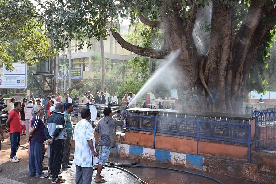 ಧಾರವಾಡದ ಕಾಲೇಜು ರಸ್ತೆಯಲ್ಲಿರುವ ಶತಮಾನ ಕಂಡ ಮರ ಹಾಗೂ ಆವರಣವನ್ನು ಬುಧವಾರ ಸ್ವಚ್ಛಗೊಳಿಸಲಾಯಿತು