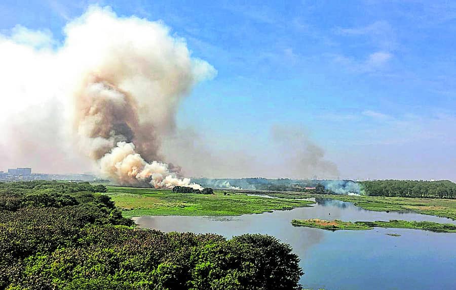 ಬೆಳ್ಳಂದೂರು ಕೆರೆ –ಪ್ರಜಾವಾಣಿ ಚಿತ್ರ