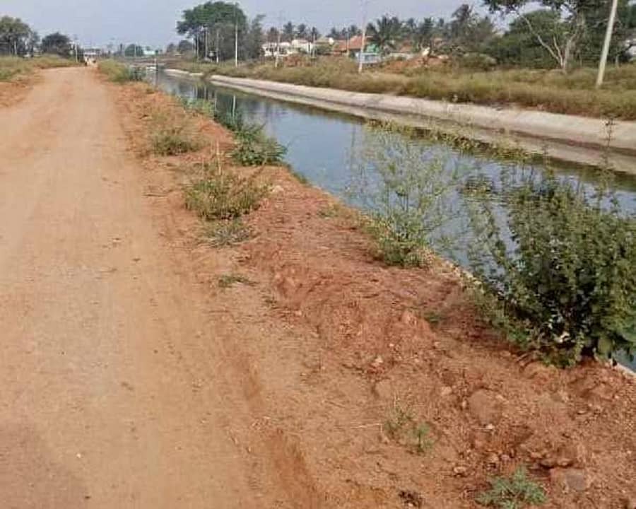 ಕೆ.ಆರ್.ಪೇಟೆ ತಾಲ್ಲೂಕಿನ ಶ್ಯಾರಹಳ್ಳಿ ಬಳಿ ನಾಲೆ ಏರಿಗೆ ತಡೆಗೋಡೆ ಇಲ್ಲ
