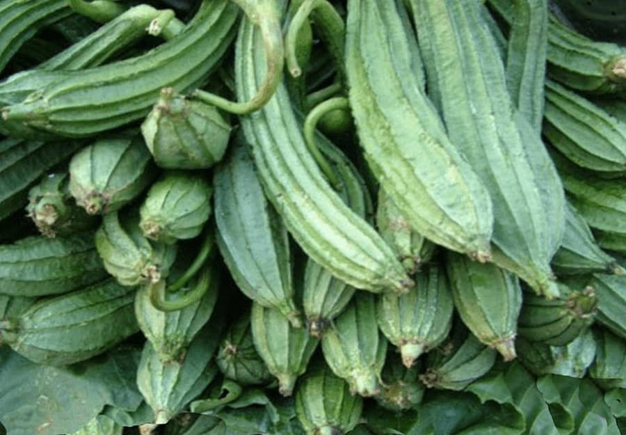 ಮಾರುಕಟ್ಟೆಯಲ್ಲಿ ಹಿರಿಹಿರಿ ಹಿಗ್ಗಿದ ಹಿರೇಕಾಯಿ