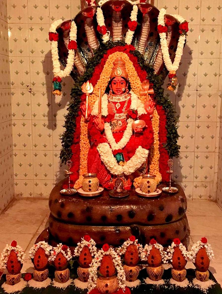 ವಿಜಯಪುರ ಹೋಬಳಿ ಕೊಮ್ಮಸಂದ್ರ ಗೇಟ್ ನಲ್ಲಿ ಓಂ ಶಕ್ತಿ ದೇವಾಲಯದಲ್ಲಿ 6 ಅಡಿಗಳ ವಿಗ್ರಹವನ್ನು ಪೂರ್ಣಕುಂಭದೊಂದಿಗೆ ಪ್ರತಿಷ್ಠಾಪನೆ ಮಾಡಲಾಯಿತು