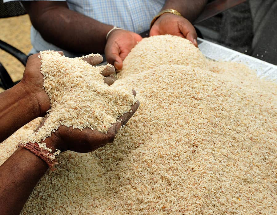 ಅನ್ನ ಭಾಗ್ಯ– ಸಾಂದರ್ಭಿಕ ಚಿತ್ರ