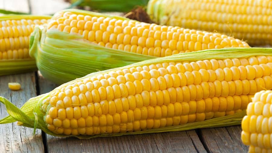Corn