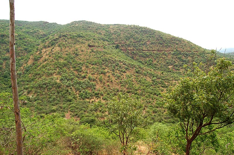 ಸಾಂದರ್ಭಿಕ ಚಿತ್ರ