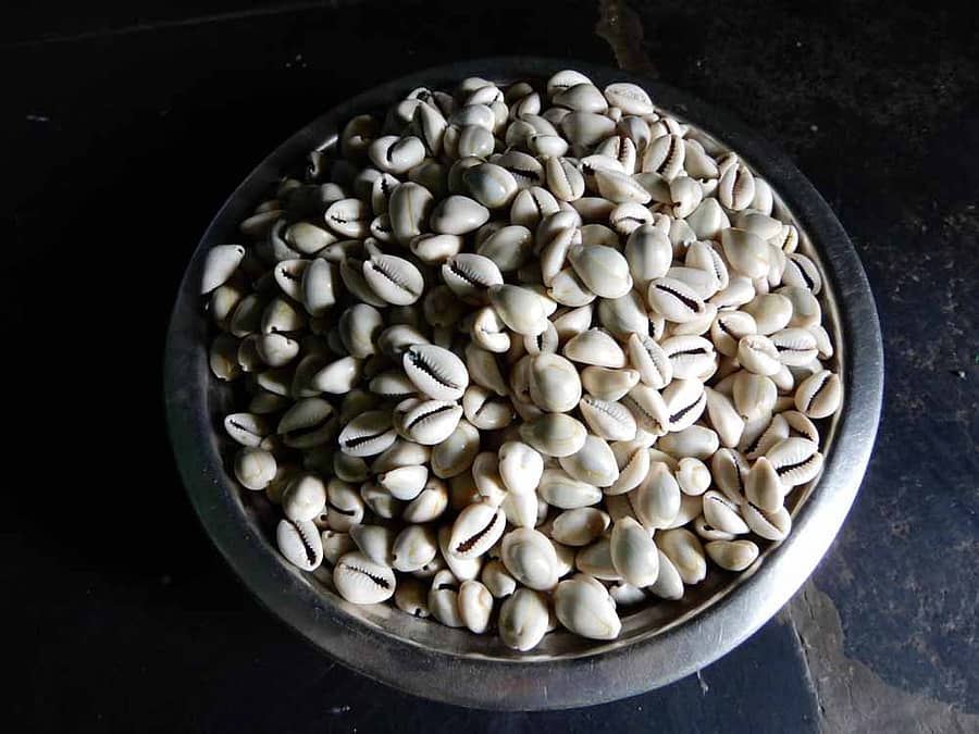 ಕವಡೆಗೂ ಬಂತು ಕಿಮ್ಮತ್ತು