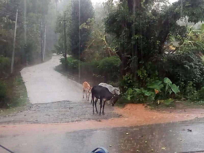 <div class="paragraphs"><p>ಸಾಂದರ್ಭಿಕ ಚಿತ್ರ</p></div>