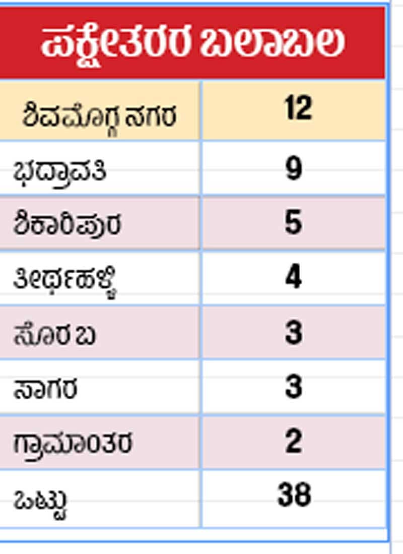 ಚುನಾವಣಾ ಕಣದಲ್ಲಿ ಪಕ್ಷೇತರರ ಕಲರವ