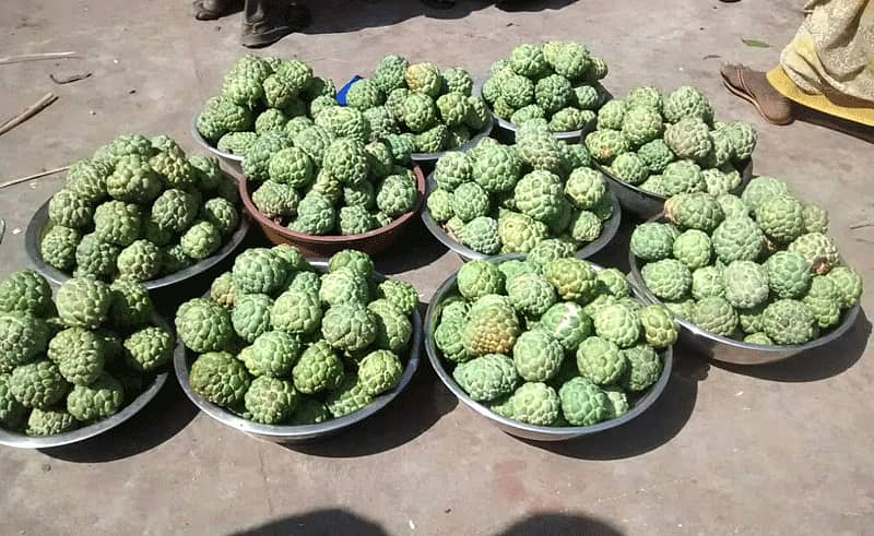 ಮೊಳಕಾಲ್ಮೂರಿನಲ್ಲಿ ಸೀತಾಫಲ ಮಾರಾಟಕ್ಕೆ ಇಟ್ಟಿರುವುದು