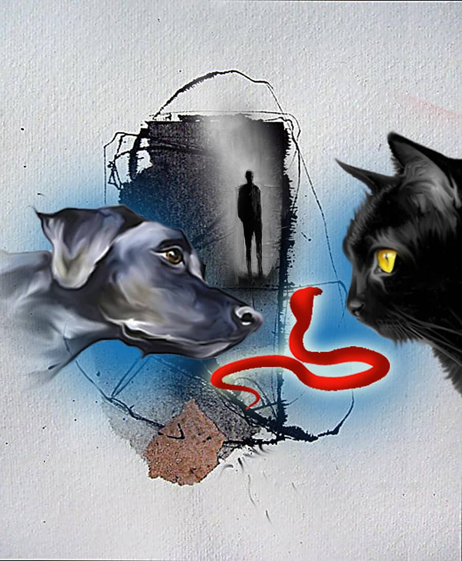 ಚಿತ್ರ: ಎಂ.ಎಸ್. ಶ್ರೀಕಂಠಮೂರ್ತಿ