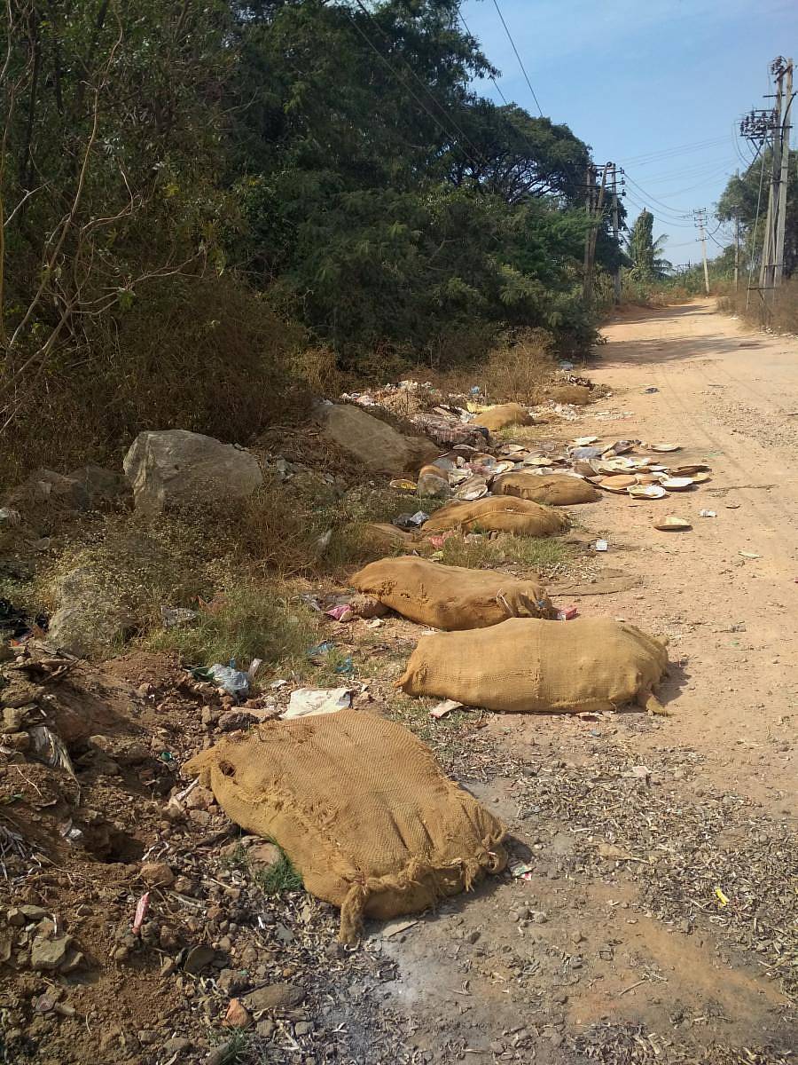 ಕೆರೆಗೆ ಹೋಗುವ ರಸ್ತೆಯ ಬದಿಗಳಲ್ಲೇ ತ್ಯಾಜ್ಯ ಎಸೆದಿರುವ ದೃಶ್ಯ 