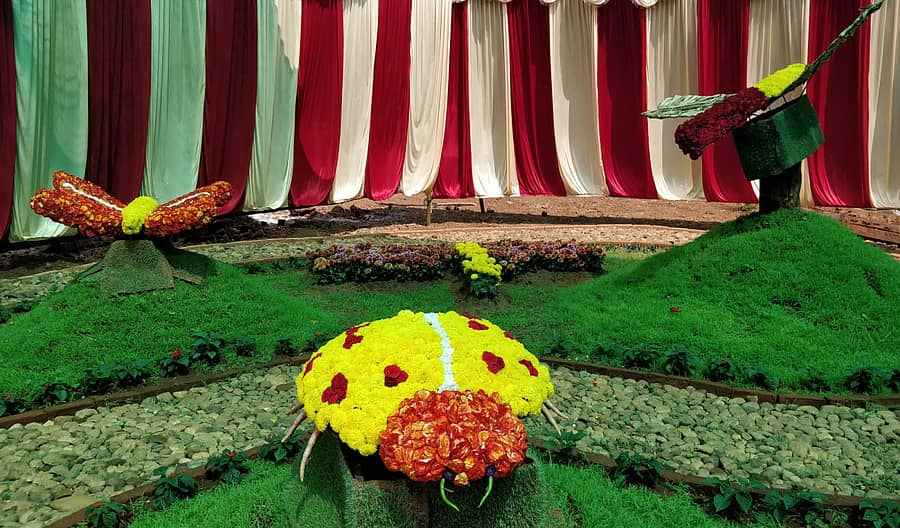 ಹೂವಿನಲ್ಲಿ ಮೈದಳೆದ ಕುಂಬಳಜ್ಜಿ ಹುಳು, ಬಿಂಬಿ, ಚಿಟ್ಟೆ