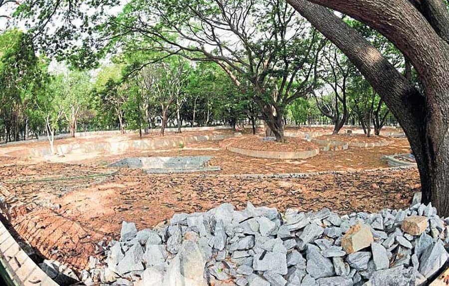 ಸಂಕನ್ ಉದ್ಯಾನದ ಸಾಂದರ್ಭಿಕ ಚಿತ್ರ– ಪ್ರಜಾವಾಣಿ ಚಿತ್ರ