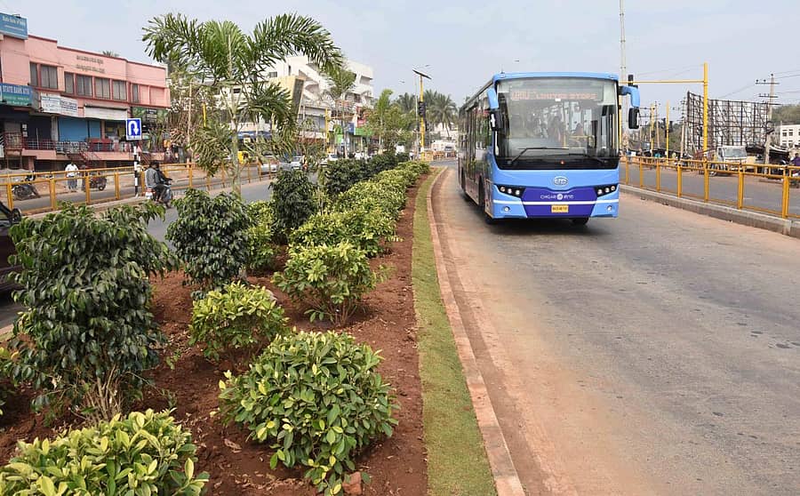 ಧಾರವಾಡದ ಗಾಂಧೀನಗರದ ಬಳಿಯ ಬಿಆರ್ಟಿಎಸ್ ಮಾರ್ಗದಲ್ಲಿ ನಳನಳಿಸುತ್ತಿರುವ ಹಸಿರ ರಾಶಿ