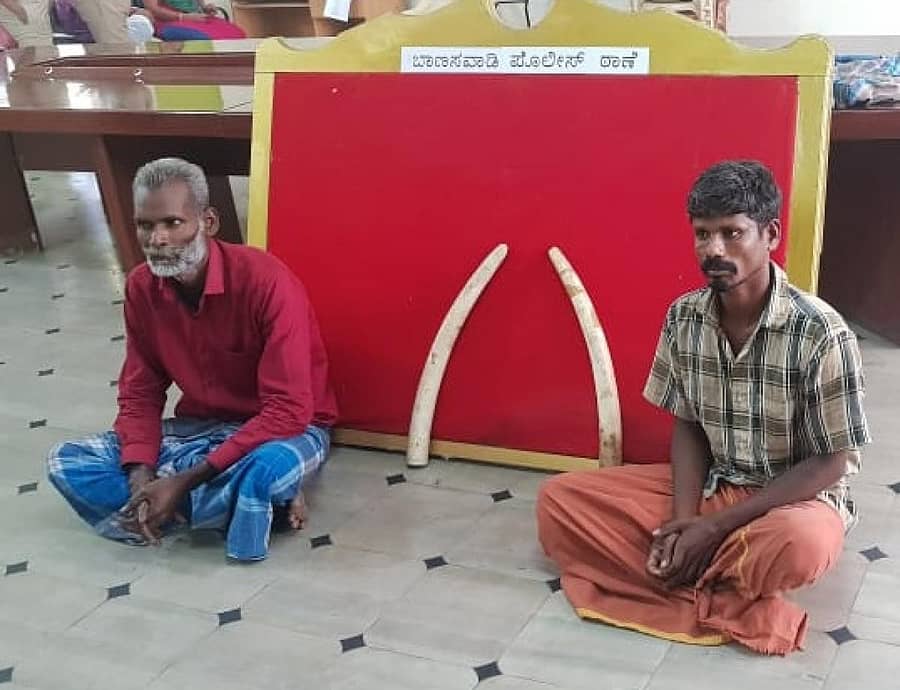 ಆನೆ ದಂತಗಳ ಜೊತೆ ಬಂಧಿತ ಆರೋಪಿಗಳು