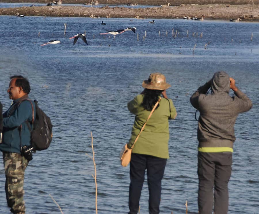 ಬೀದರ್‌ ಜಿಲ್ಲೆಯ ಸಂಗೋಳಗಿಯ ಕಾರಂಜಾ ಹಿನ್ನೀರ ಪ್ರದೇಶದಲ್ಲಿ ಹಕ್ಕಿಗಳನ್ನು ವೀಕ್ಷಿಸಿದ ಪಕ್ಷಿ ಪ್ರೇಮಿಗಳು