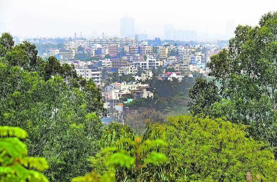 ಹಸಿರು ಮಾಲಾ