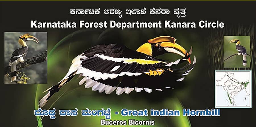 ಉತ್ತರ ಕನ್ನಡ ಜಿಲ್ಲೆಯಲ್ಲಿ ‘ತಿಂಗಳ ಹಕ್ಕಿಲೋಕ’ದಲ್ಲಿ ಮೊದಲು ಮಿಂಚಲಿರುವ ಹಾರ್ನಬಿಲ್