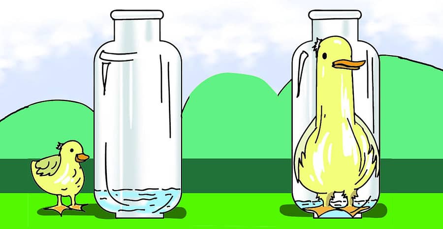  ಕಲೆ: ಭಾವು ಪತ್ತಾರ್‌