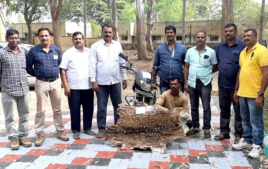 ಜಿಂಕೆ ಚರ್ಮ ಮಾರಾಟ ಮಾಡಲು ಯತ್ನಿಸಿದ ಆರೋಪಿಯನ್ನು ಬಂಧಿಸಲಾಗಿದೆ